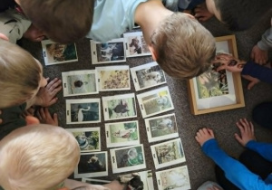 Na zielonym dywanie leżą plansze ze zwierzętami. Dzieci oglądają plansze.