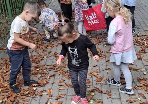 Dzieci zbierają kasztany na tarasie