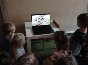 Dzień jeża