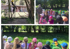 Dzieci biorą udział w zajęciach przyrodniczych w terenie