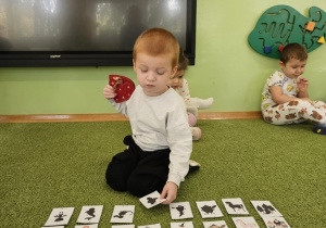 Chłopiec dopasowuje cienie