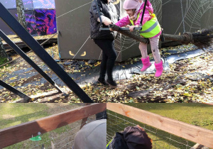 Dziewczynka zjeżdza na miotle. Chłopcy karmią kozy.