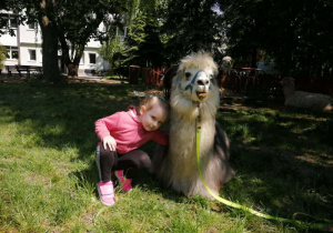 Dziewczynka pozuje z alpaką.