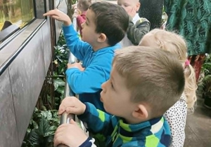 Dzieci oglądają ryby w akwarium.