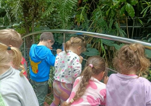 Dzieci oglądają ryby.