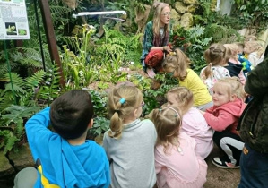 Dzieci kucają i oglądają rośliny.