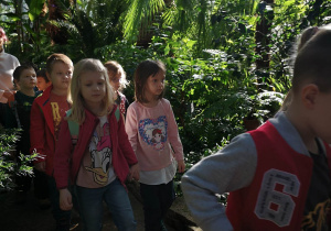 Grupa dzieci w trakcie wycieczki w palmiarni