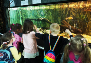 Grupa dzieci w trakcie wycieczki w palmiarni obserwuje akwarium