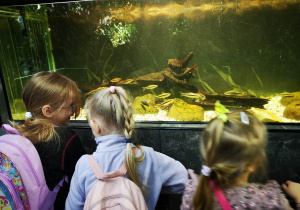 Grupa dzieci w trakcie wycieczki w palmiarni obserwuje akwarium