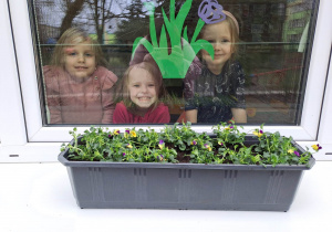 Dziewczynki wyglądają przez okna na donicę z kwiatami