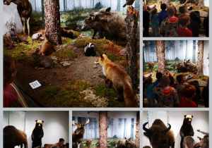 Dzieci oglądają eksponaty w muzeum przyrodniczym - las