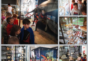 Dzieci oglądają eksponaty w muzeum przyrodniczym - mieszkańcy mórz i oceanów