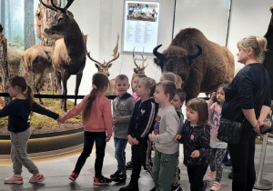 Dzieci oglądają eksponaty w muzeum przyrodniczym
