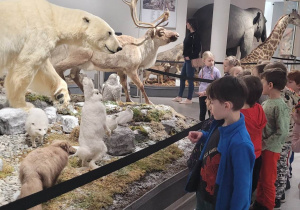 Dzieci oglądają eksponaty w muzeum przyrodniczym