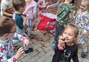 Dzieci zbierają kasztany na tarasie