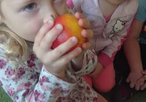 Dziewczynka wącha jabłko, które trzyma w rękach.