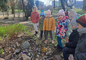 Dzieci przyglądają się pierwszym oznaką wiosny w ogrodzie - fioletowym, żółtym i białym krokusom