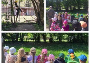 Dzieci biorą udział w zajęciach przyrodniczych w terenie
