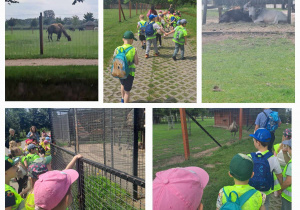 Dzieci w kamizelkach odblaskowych zwiedzają zoo i przyglądają się zwierzętom